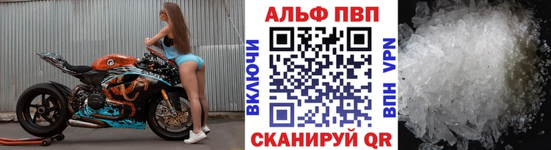 Alfa_PVP СК  закладки  Сенгилей 