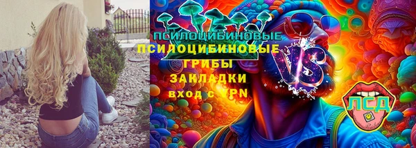 соль ск Пролетарск