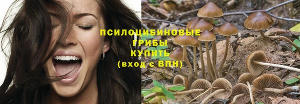 прущая мука Протвино