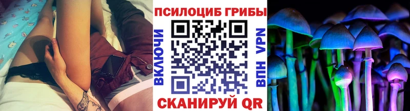 цены   мега ссылки  Галлюциногенные грибы Magic Shrooms  Сенгилей 